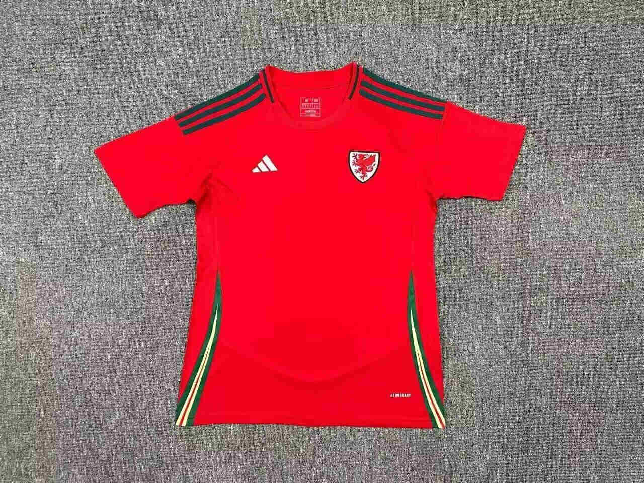 2024-2025  Wales home